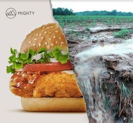 Mighty Earth Kickoff Event!