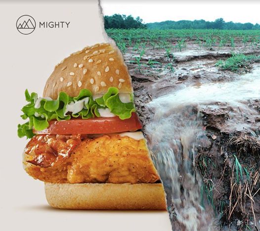 Mighty Earth Kickoff Event!